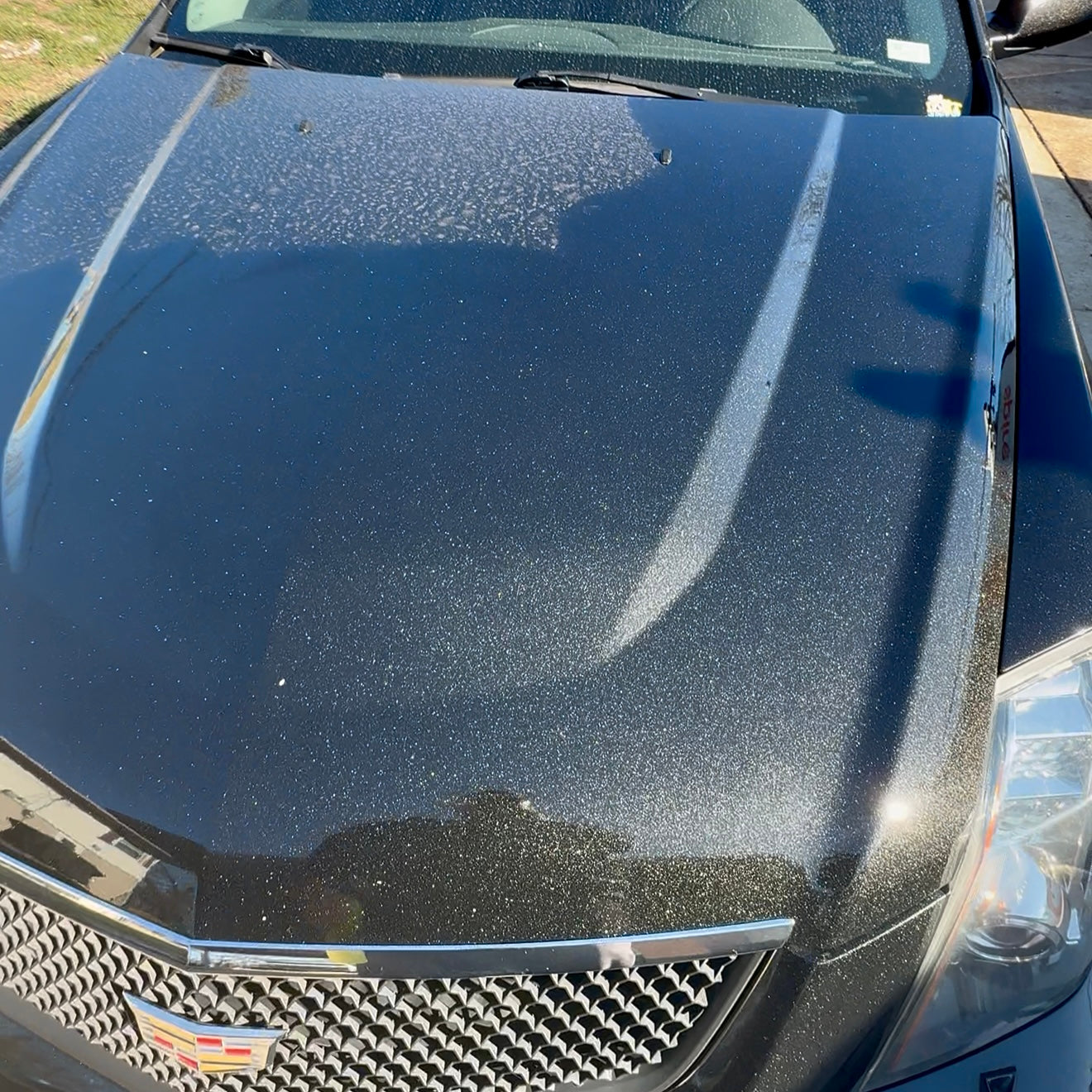 Blessed Detailing Kit – Holy Foam & Holy Shine Bundle